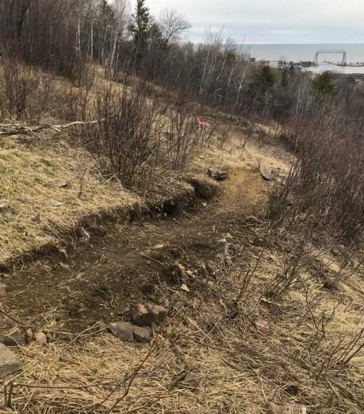 A deep groove is cut into the ground as part of a rogue bike trail near the Superior Hiking Trail. (Submitted photo)