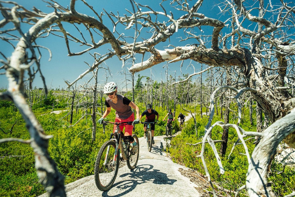 https mtbatlantic.com trail mcintosh-run 